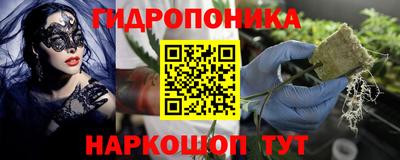 MDMA Premium VHQ Камышлов
